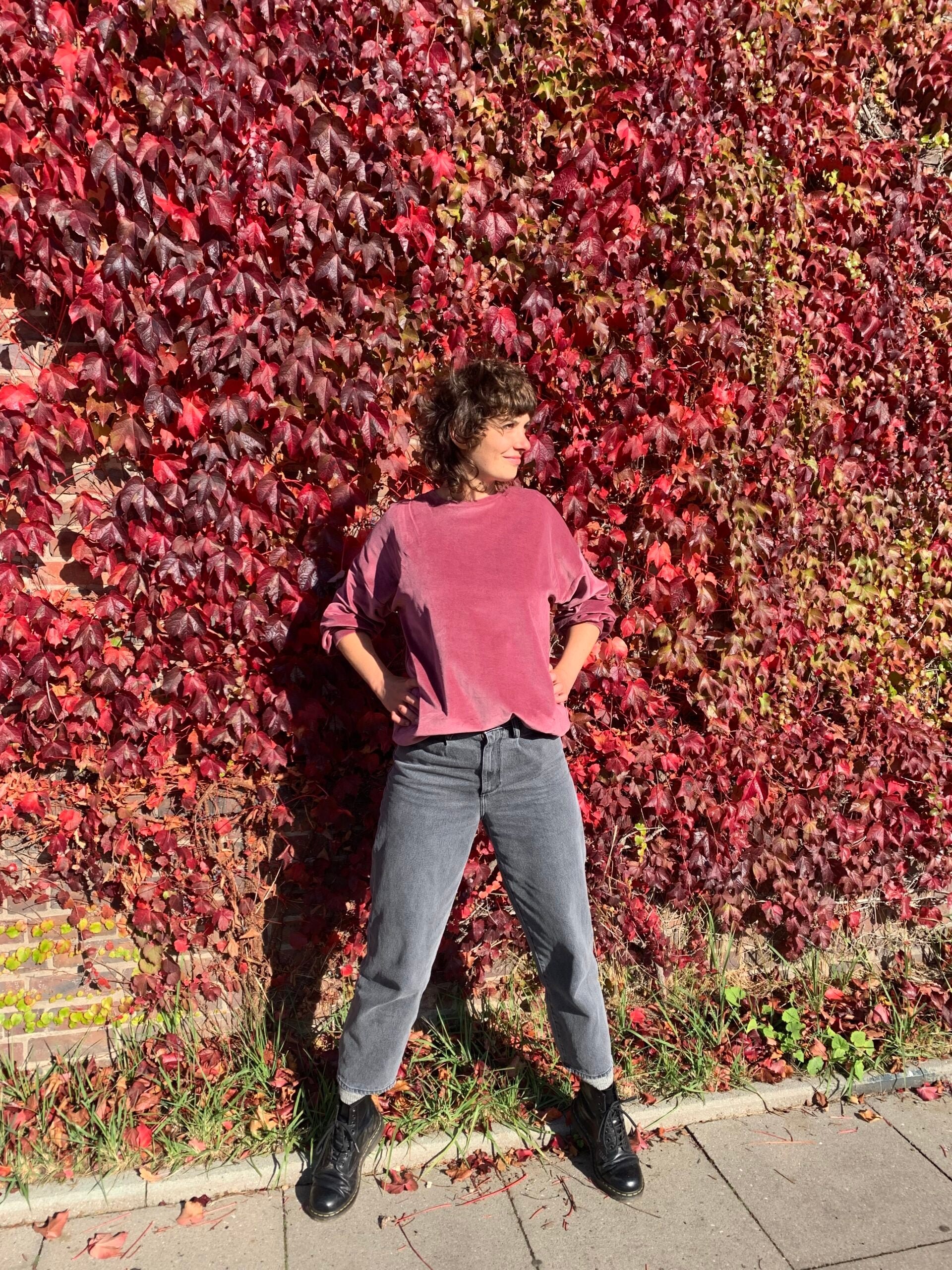 Nickipullover - Rose