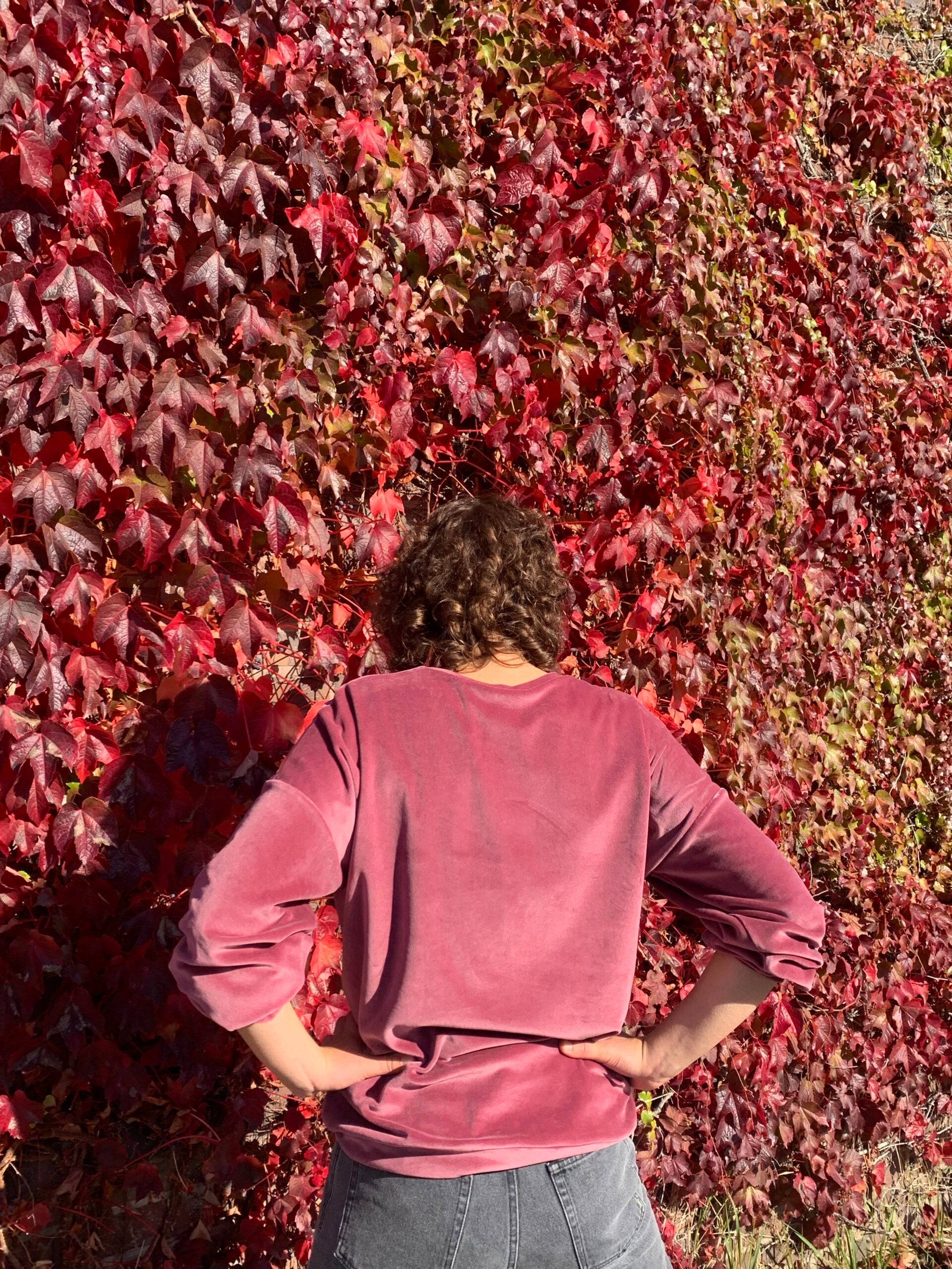 Nickipullover - Rose