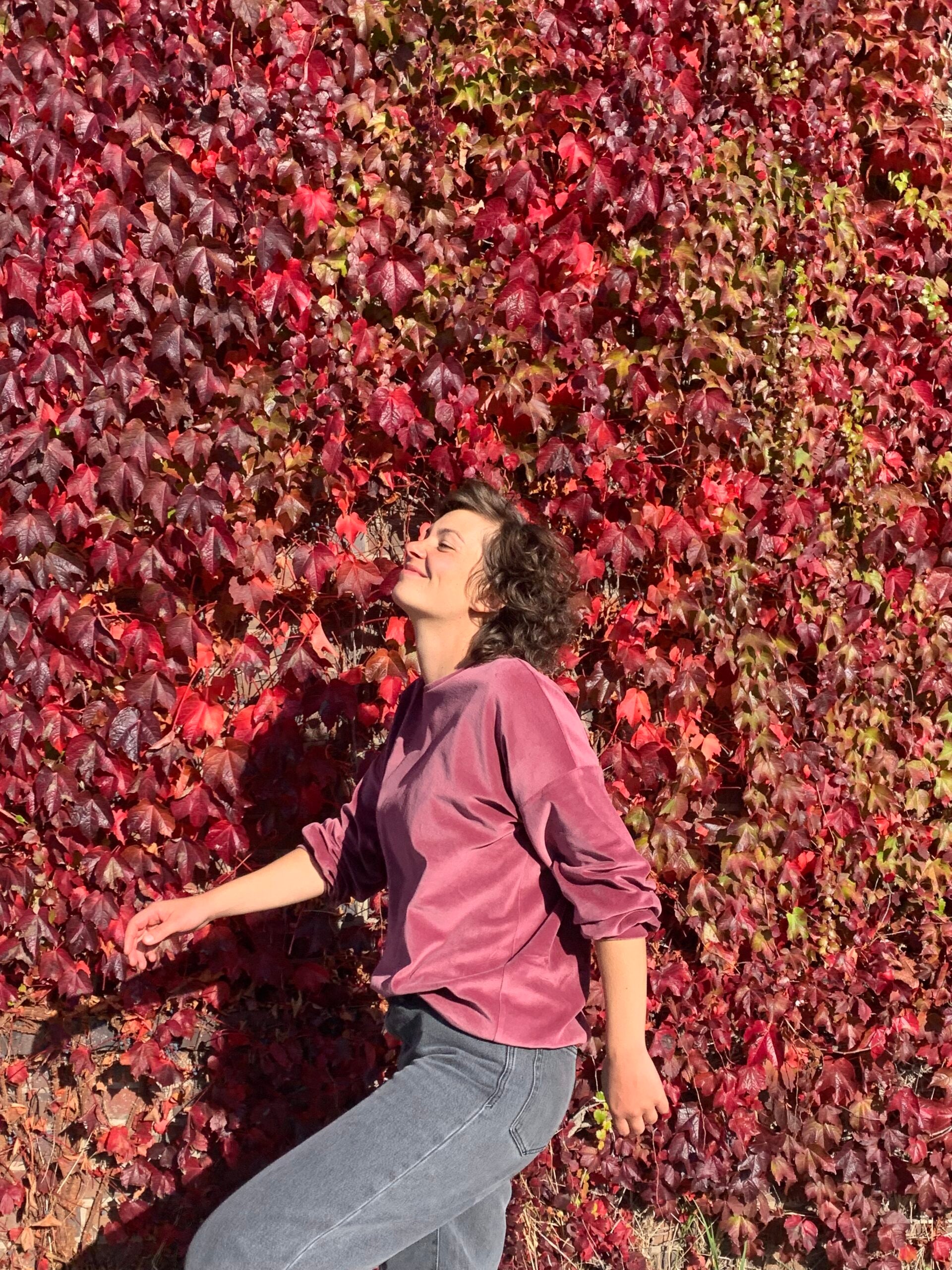 Nickipullover - Rose