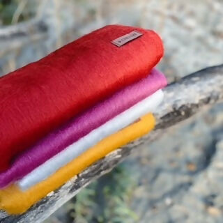 AS Bunt
