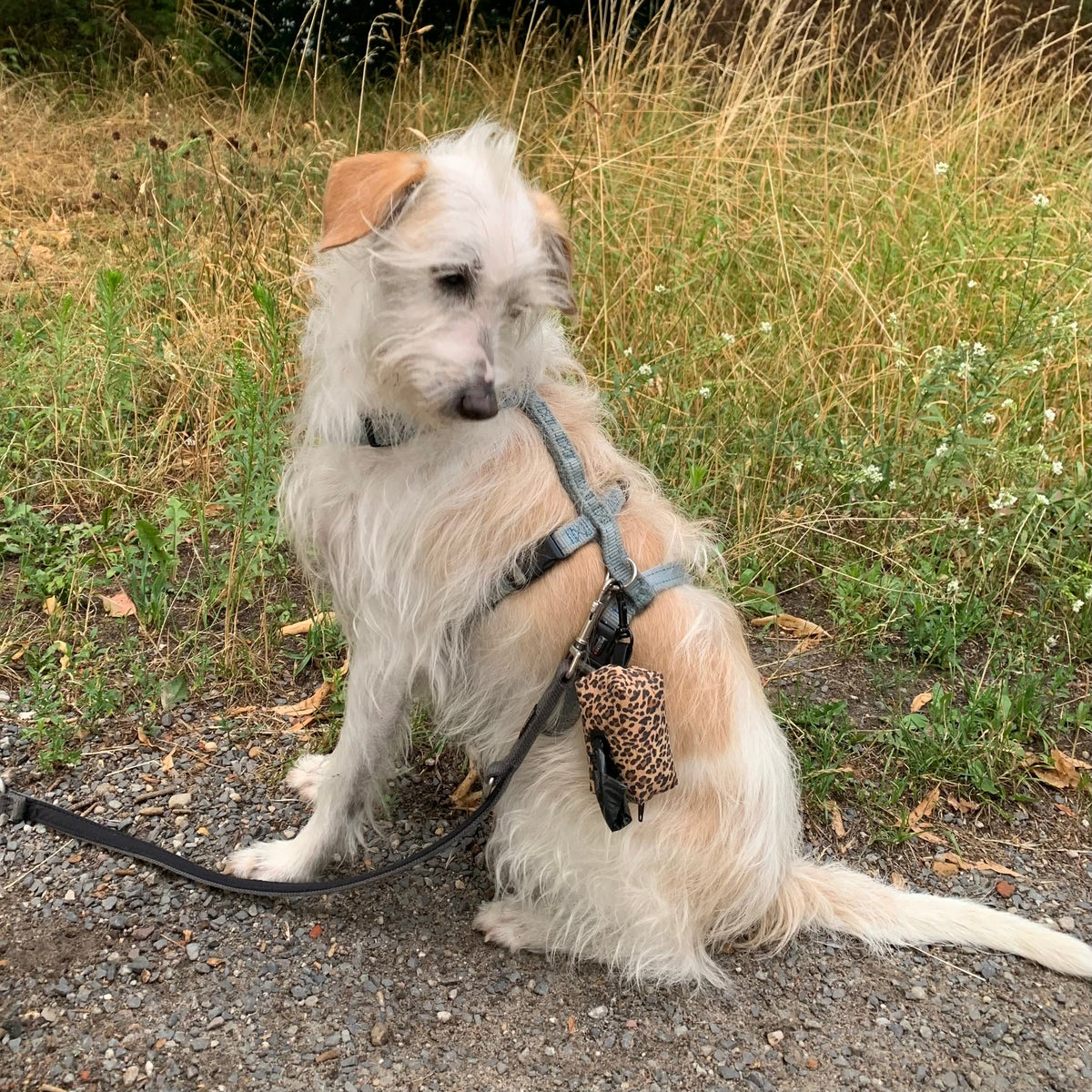 NOAS Mini-Tasche für Hundekotbeutel – Kork Leo