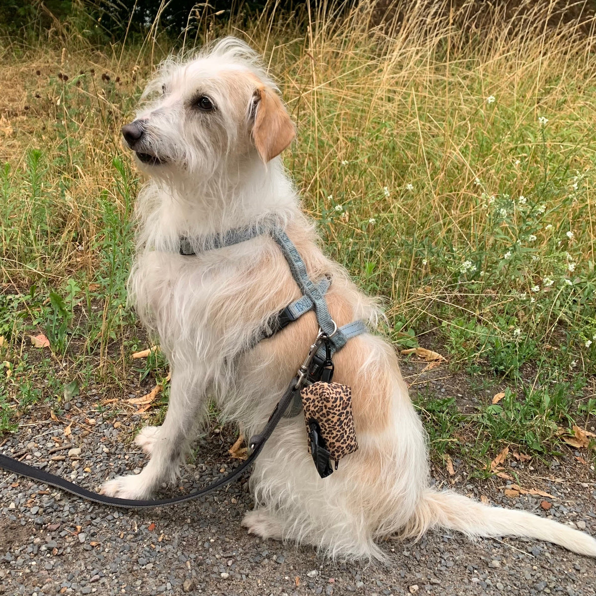 NOAS Mini-Tasche für Hundekotbeutel – Kork Weinrot